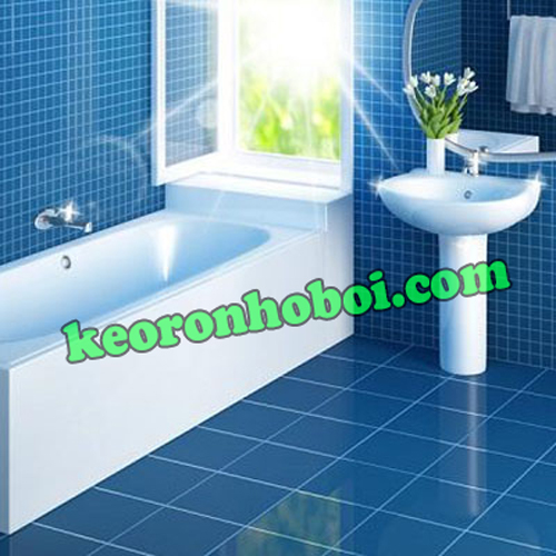 năng lực công ty