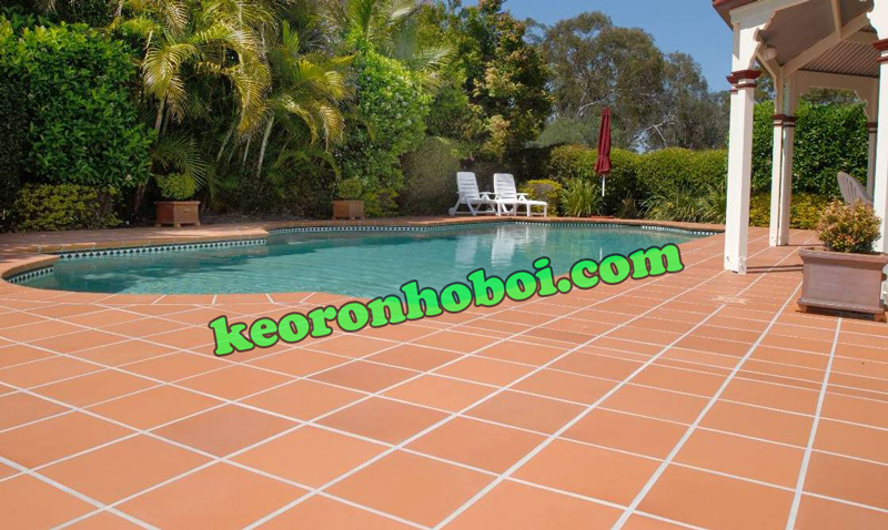 năng lực công ty