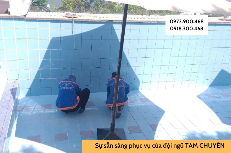 Tẩy trắng ron hồ bơi biệt thự